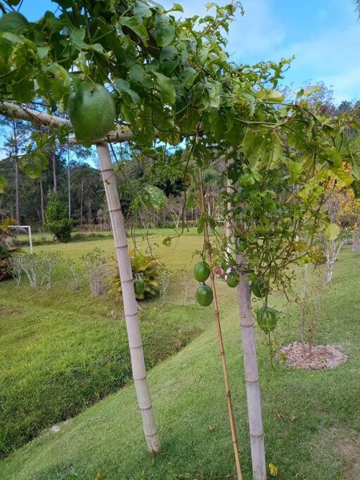 Sitio Paraiso Verde Juquitiba Ngoại thất bức ảnh