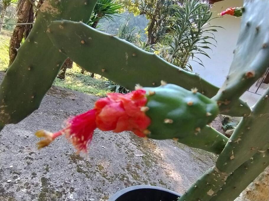Sitio Paraiso Verde Juquitiba Ngoại thất bức ảnh