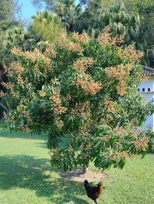 Sitio Paraiso Verde Juquitiba Ngoại thất bức ảnh
