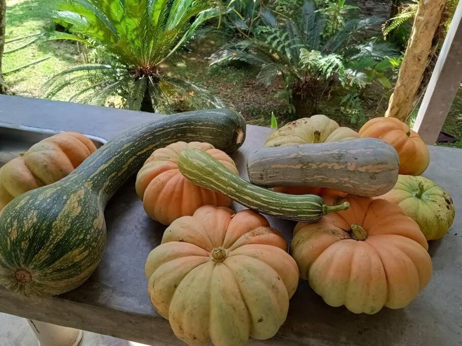 Sitio Paraiso Verde Juquitiba Ngoại thất bức ảnh