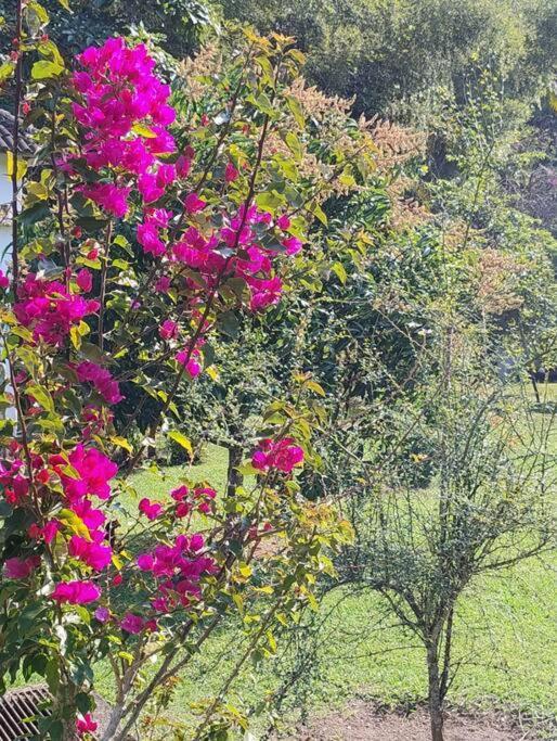 Sitio Paraiso Verde Juquitiba Ngoại thất bức ảnh